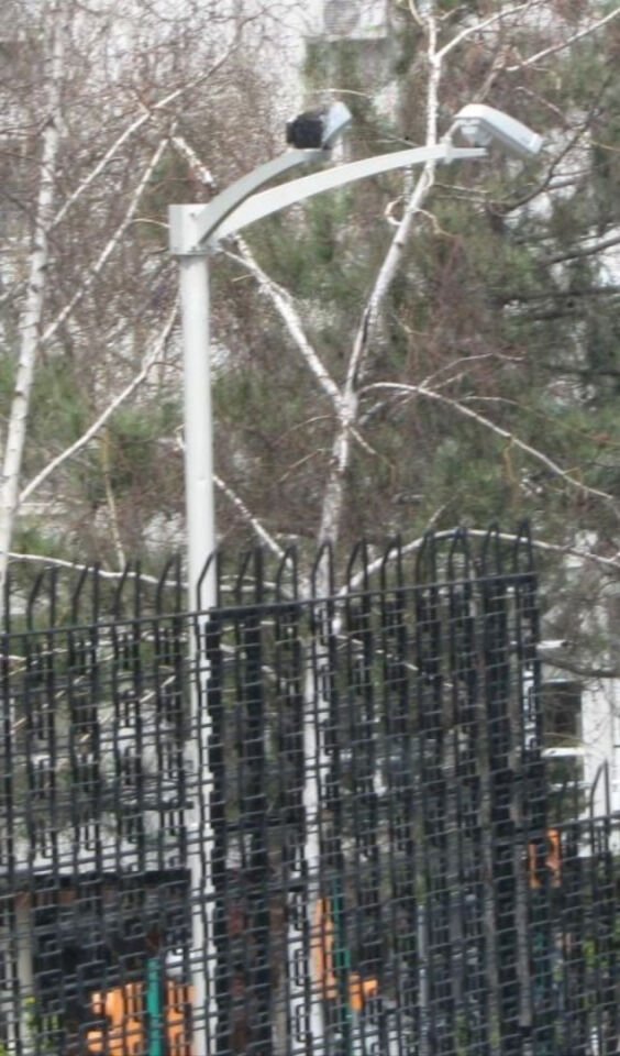 Kamera Montaj Kutusu