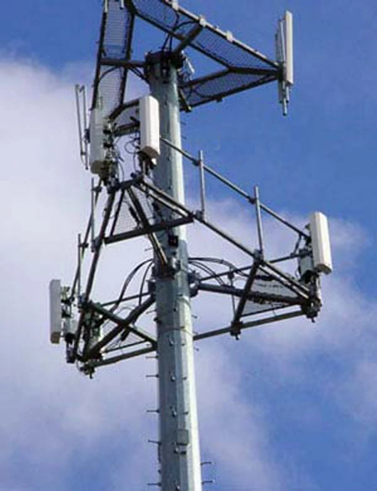 Monopol Direk - 20 mt - Koruma Merdivenli